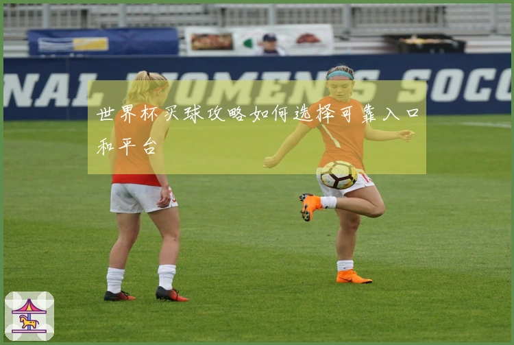 世界杯买球攻略如何选择可靠入口和平台