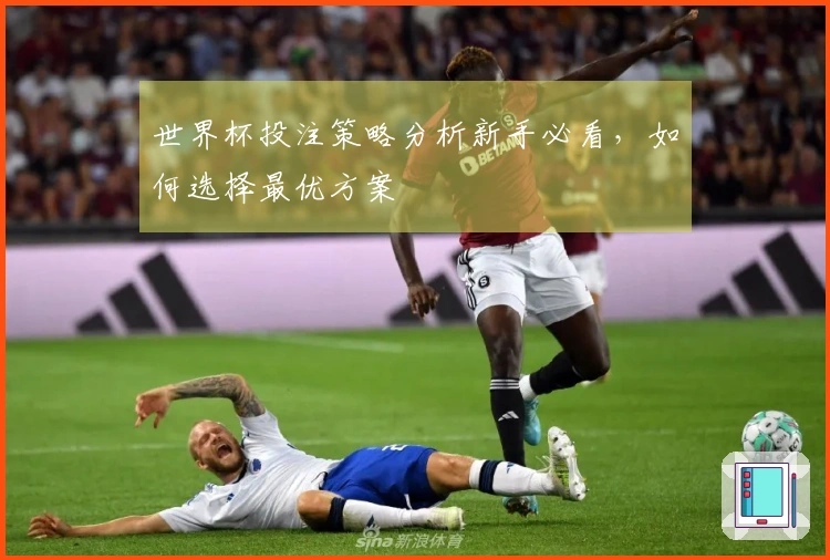 世界杯投注策略分析新手必看，如何选择最优方案