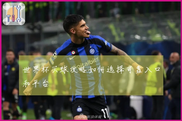 世界杯买球攻略如何选择可靠入口和平台