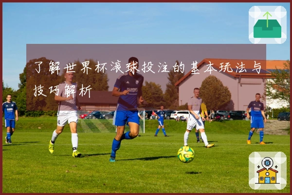 了解世界杯滚球投注的基本玩法与技巧解析