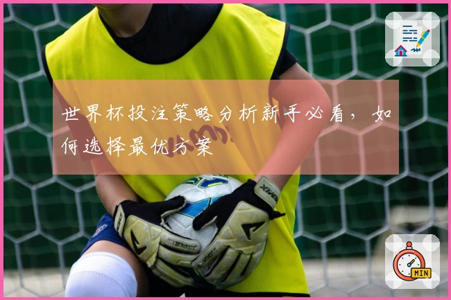 世界杯投注策略分析新手必看，如何选择最优方案