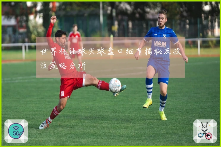 世界杯让球买球盘口细节揭秘及投注策略分析
