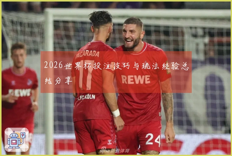 2026世界杯投注技巧与玩法经验总结分享